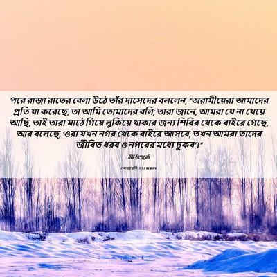Picture 06 - 2 ৰাজাৱলি 7:12 BENIRV - পরে রাজা রাতের - Bible Verse Picture