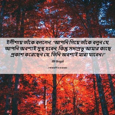 Picture 06 - 2 ৰাজাৱলি 8:10 BENIRV - ইলীশায় তাঁকে - Bible Verse Picture