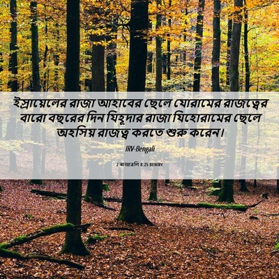 Picture 06 - 2 ৰাজাৱলি 8:25 BENIRV - ইস্রায়েলের রাজা - Bible Verse Picture