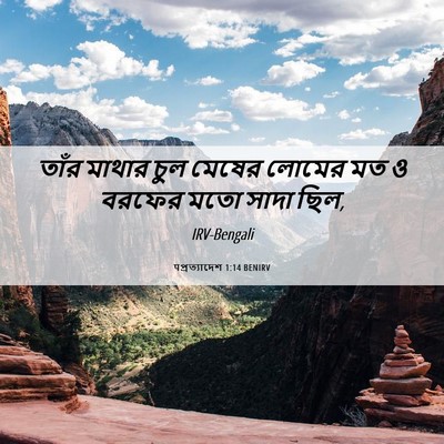 Picture 06 - पপ্রত্যাদেশ 1:14 BENIRV - তাঁর মাথার চুল - Bible Verse Picture