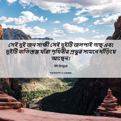 Picture 06 - पপ্রত্যাদেশ 11:4 BENIRV - সেই দুই জন সাক্ষী - Bible Verse Picture