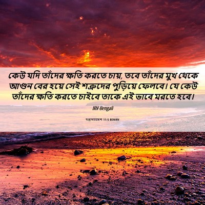 Picture 06 - पপ্রত্যাদেশ 11:5 BENIRV - কেউ যদি তাঁদের - Bible Verse Picture