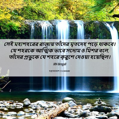 Picture 06 - पপ্রত্যাদেশ 11:8 BENIRV - সেই মহাশহরের - Bible Verse Picture