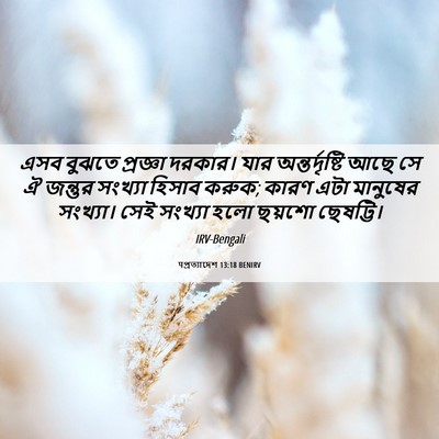 Picture 06 - पপ্রত্যাদেশ 13:18 BENIRV - এসব বুঝতে প্রজ্ঞা - Bible Verse Picture