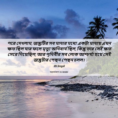 Picture 06 - पপ্রত্যাদেশ 13:3 BENIRV - পরে দেখলাম, - Bible Verse Picture