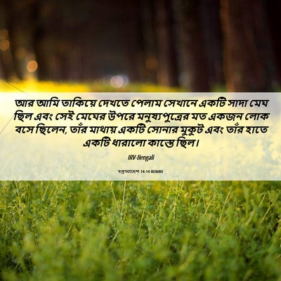 Picture 06 - पপ্রত্যাদেশ 14:14 BENIRV - আর আমি তাকিয়ে - Bible Verse Picture