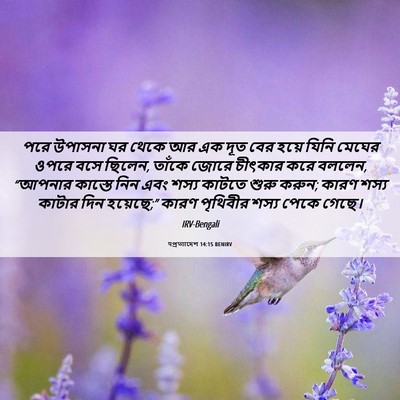 Picture 06 - पপ্রত্যাদেশ 14:15 BENIRV - পরে উপাসনা ঘর থেকে - Bible Verse Picture