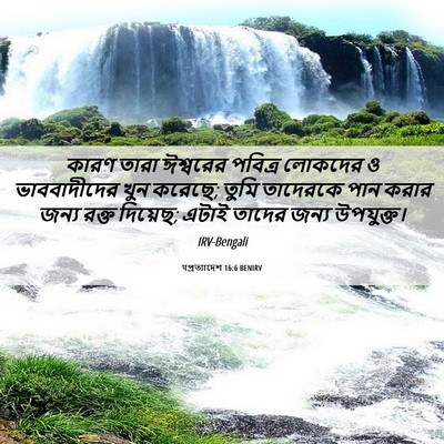 Picture 06 - पপ্রত্যাদেশ 16:6 BENIRV - কারণ তারা ঈশ্বরের - Bible Verse Picture