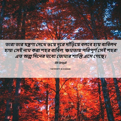 Picture 06 - पপ্রত্যাদেশ 18:10 BENIRV - তারা তার যন্ত্রণা - Bible Verse Picture