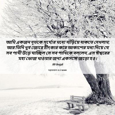 Picture 06 - पপ্রত্যাদেশ 19:17 BENIRV - আমি একজন দূতকে - Bible Verse Picture