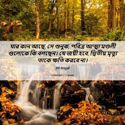 Picture 06 - पপ্রত্যাদেশ 2:11 BENIRV - যার কান আছে, সে - Bible Verse Picture