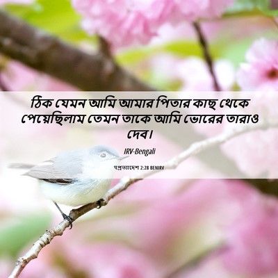 Picture 06 - पপ্রত্যাদেশ 2:28 BENIRV - ঠিক যেমন আমি আমার - Bible Verse Picture