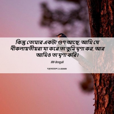 Picture 06 - पপ্রত্যাদেশ 2:6 BENIRV - কিন্তু তোমার একটা - Bible Verse Picture