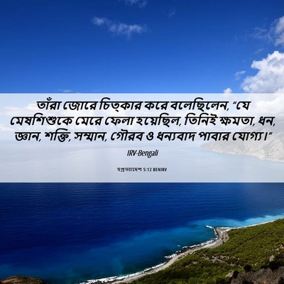 Picture 06 - पপ্রত্যাদেশ 5:12 BENIRV - তাঁরা জোরে - Bible Verse Picture
