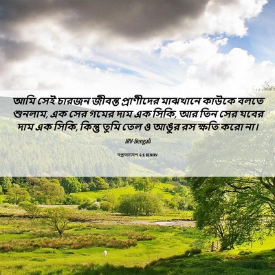 Picture 06 - पপ্রত্যাদেশ 6:6 BENIRV - আমি সেই চারজন - Bible Verse Picture