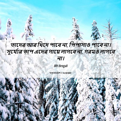 Picture 06 - पপ্রত্যাদেশ 7:16 BENIRV - তাদের আর খিদে পাবে - Bible Verse Picture