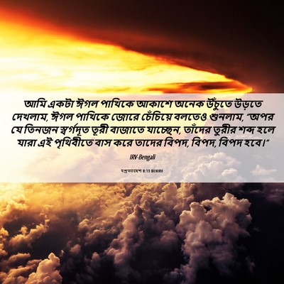 Picture 06 - पপ্রত্যাদেশ 8:13 BENIRV - আমি একটা ঈগল - Bible Verse Picture