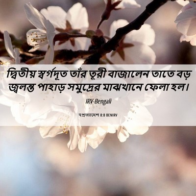 Picture 06 - पপ্রত্যাদেশ 8:8 BENIRV - দ্বিতীয় - Bible Verse Picture