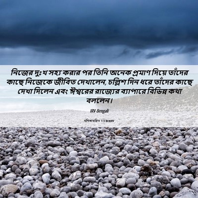 Picture 06 - पশিষ্যচরিত 1:3 BENIRV - নিজের দুঃখ সহ্য - Bible Verse Picture