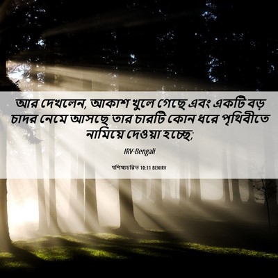 Picture 06 - पশিষ্যচরিত 10:11 BENIRV - আর দেখলেন, আকাশ - Bible Verse Picture
