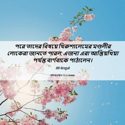 Picture 06 - पশিষ্যচরিত 11:22 BENIRV - পরে তাদের বিষয়ে - Bible Verse Picture