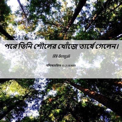 Picture 06 - पশিষ্যচরিত 11:25 BENIRV - পরে তিনি শৌলের - Bible Verse Picture