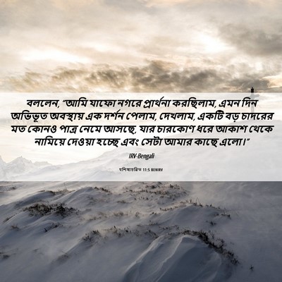 Picture 06 - पশিষ্যচরিত 11:5 BENIRV - বললেন, “আমি যাফো - Bible Verse Picture