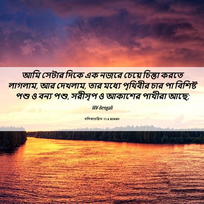 Picture 06 - पশিষ্যচরিত 11:6 BENIRV - আমি সেটার দিকে এক - Bible Verse Picture