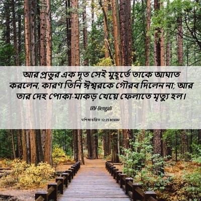 Picture 06 - पশিষ্যচরিত 12:23 BENIRV - আর প্রভুর এক দূত - Bible Verse Picture