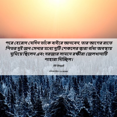 Picture 06 - पশিষ্যচরিত 12:6 BENIRV - পরে হেরোদ যেদিন - Bible Verse Picture