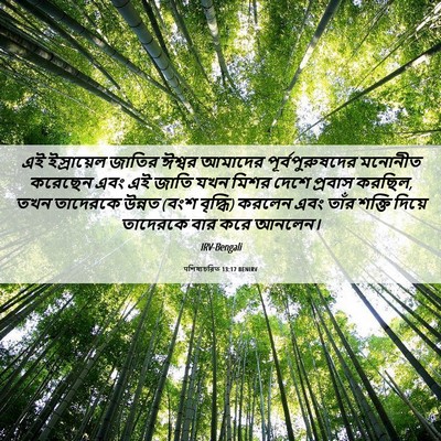 Picture 06 - पশিষ্যচরিত 13:17 BENIRV - এই ইস্রায়েল - Bible Verse Picture