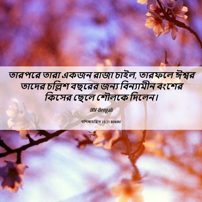 Picture 06 - पশিষ্যচরিত 13:21 BENIRV - তারপরে তারা একজন - Bible Verse Picture