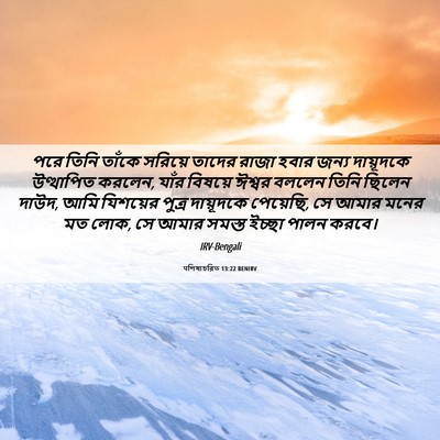Picture 06 - पশিষ্যচরিত 13:22 BENIRV - পরে তিনি তাঁকে - Bible Verse Picture