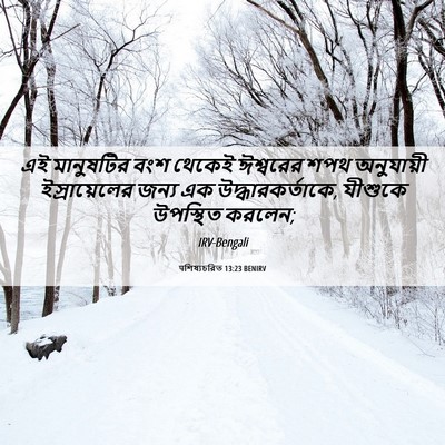 Picture 06 - पশিষ্যচরিত 13:23 BENIRV - এই মানুষটির বংশ - Bible Verse Picture