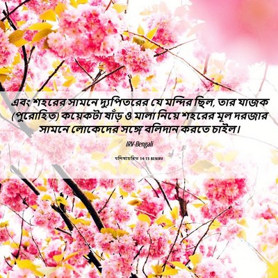 Picture 06 - पশিষ্যচরিত 14:13 BENIRV - এবং শহরের সামনে - Bible Verse Picture