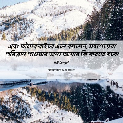 Picture 06 - पশিষ্যচরিত 16:30 BENIRV - এবং তাঁদের বাইরে - Bible Verse Picture