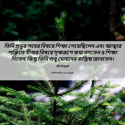 Picture 06 - पশিষ্যচরিত 18:25 BENIRV - তিনি প্রভুর পথের - Bible Verse Picture