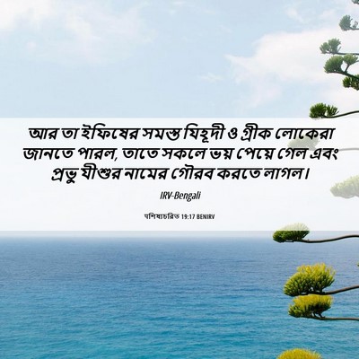Picture 06 - पশিষ্যচরিত 19:17 BENIRV - আর তা ইফিষের সমস্ত - Bible Verse Picture