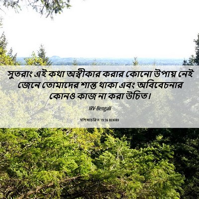 Picture 06 - पশিষ্যচরিত 19:36 BENIRV - সুতরাং এই কথা - Bible Verse Picture
