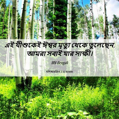 Picture 06 - पশিষ্যচরিত 2:32 BENIRV - এই যীশুকেই ঈশ্বর - Bible Verse Picture