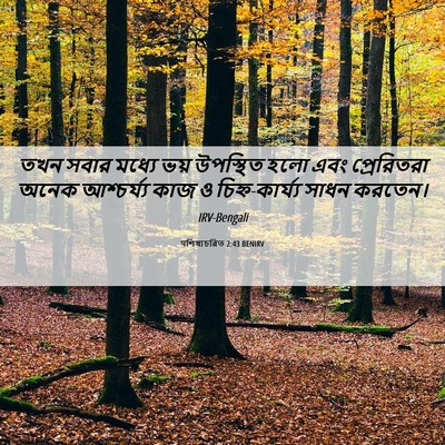 Picture 06 - पশিষ্যচরিত 2:43 BENIRV - তখন সবার মধ্যে ভয় - Bible Verse Picture