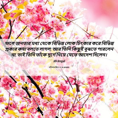 Picture 06 - पশিষ্যচরিত 21:34 BENIRV - ফলে জনতার মধ্য - Bible Verse Picture