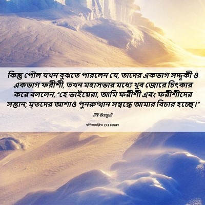 Picture 06 - पশিষ্যচরিত 23:6 BENIRV - কিন্তু পৌল যখন - Bible Verse Picture
