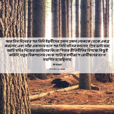 Picture 06 - पশিষ্যচরিত 28:17 BENIRV - আর তিন দিনের র পর - Bible Verse Picture