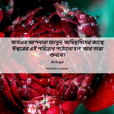 Picture 06 - पশিষ্যচরিত 28:28 BENIRV - অতএব আপনারা জানুন, - Bible Verse Picture