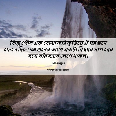 Picture 06 - पশিষ্যচরিত 28:3 BENIRV - কিন্তু পৌল এক বোঝা - Bible Verse Picture