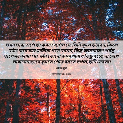 Picture 06 - पশিষ্যচরিত 28:6 BENIRV - তখন তারা অপেক্ষা - Bible Verse Picture