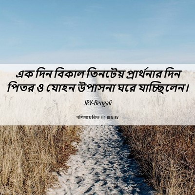 Picture 06 - पশিষ্যচরিত 3:1 BENIRV - এক দিন বিকাল - Bible Verse Picture