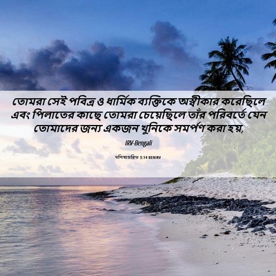 Picture 06 - पশিষ্যচরিত 3:14 BENIRV - তোমরা সেই পবিত্র ও - Bible Verse Picture