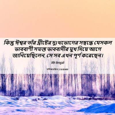 Picture 06 - पশিষ্যচরিত 3:18 BENIRV - কিন্তু ঈশ্বর তাঁর - Bible Verse Picture